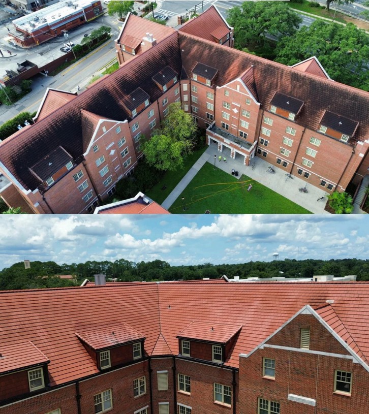 roof cleaning before and after