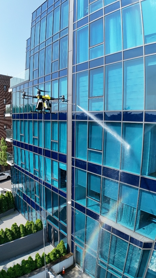 windows cleaning